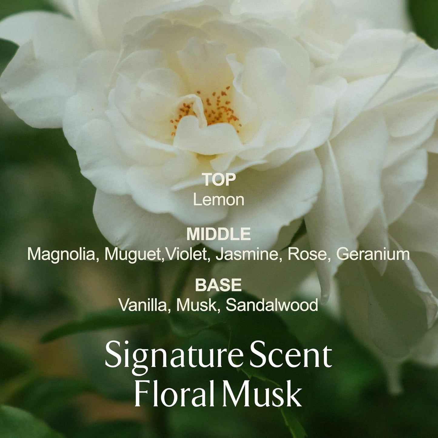 LA MUSE Perfume Body Lotion for Women(Floral Musk) | Body Cream for Women, Dry Skin with Shea Butter, Peptide | Softens & Comforts Sensitive Skin with Silky Smooth Finish, Non-Sticky | 10.14 fl oz