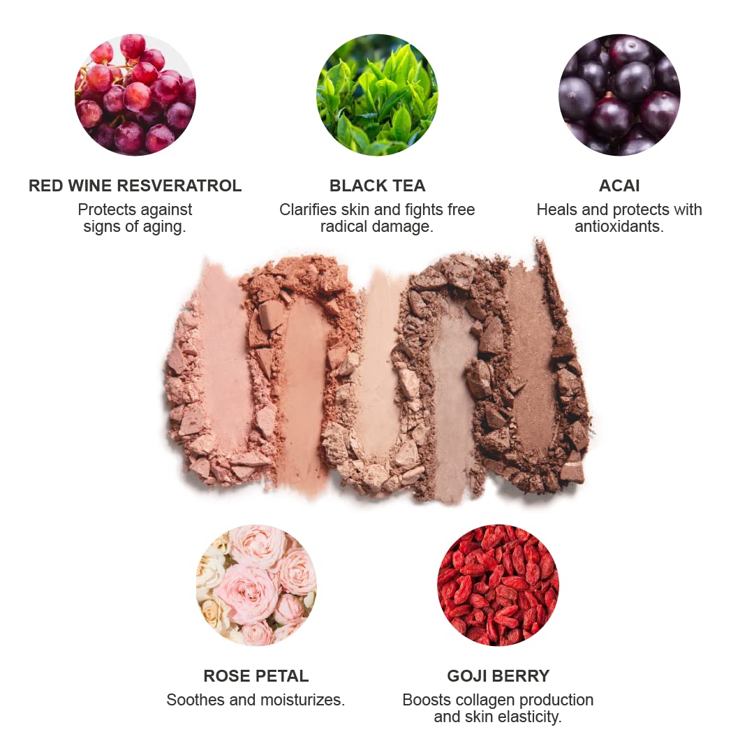 100% PURE Pretty Naked Makeup Palette All in One Compact 3 Eyeshadow, Blush, Face Highlighter, Fruit Pigmented Natural Nude, Neutral Looks for All Skin Types - Vegan (Soft, Neutral Tones)