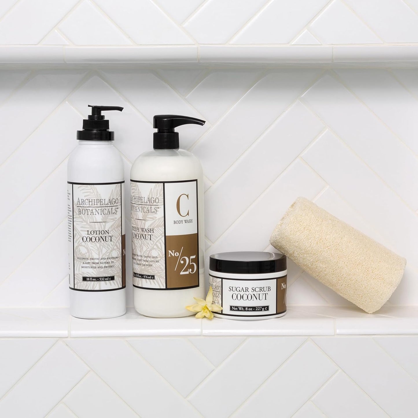 Archipelago Botanicals Coconut Moisturizer, Nourishing Coconut Body Lotion for Hydrated, Vibrant Skin, Paraben Free, Phthalate Free, 18 oz